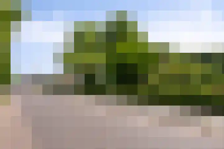Nanningaweg 14 Oosterwolde thumbnail 5