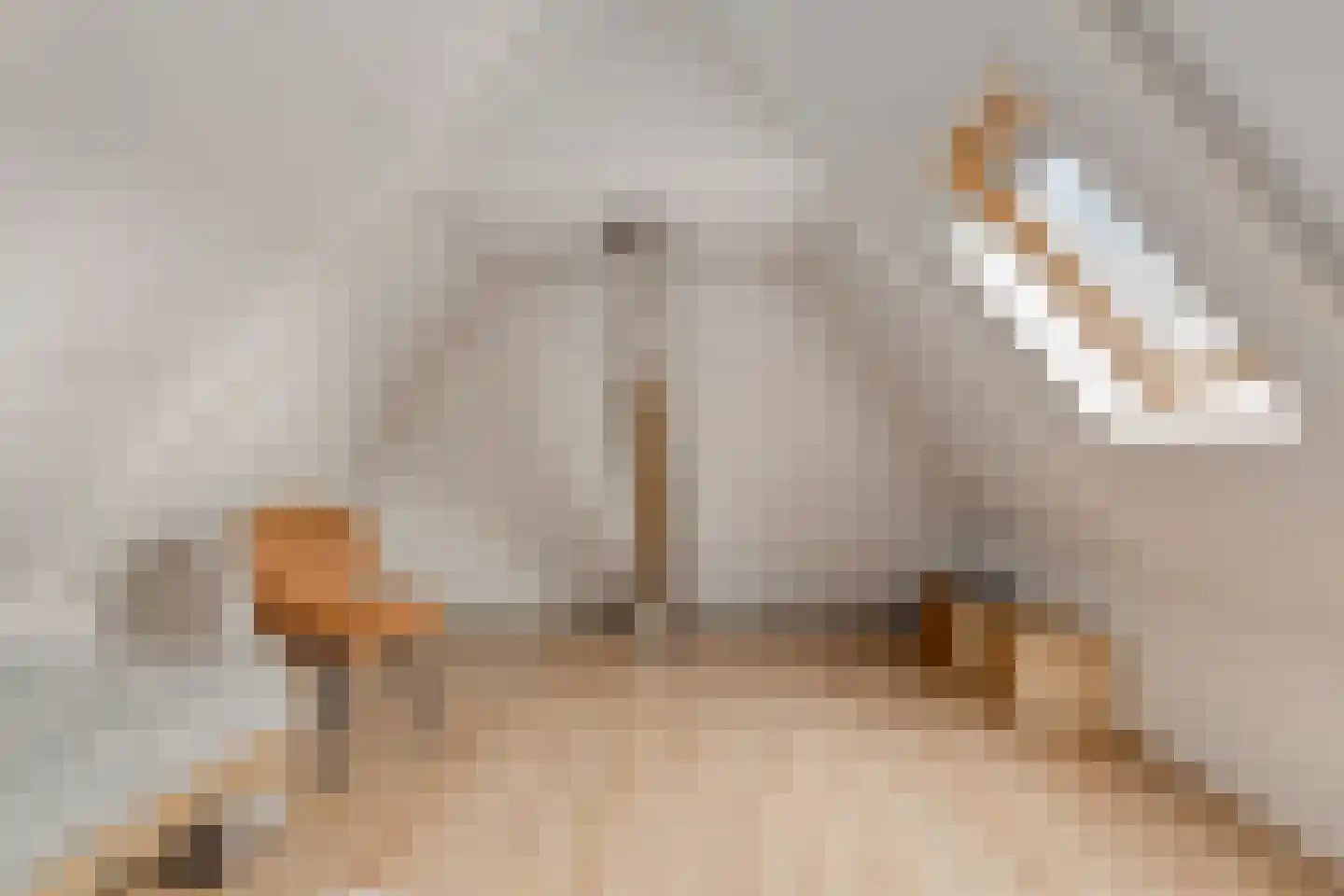 Nanningaweg 26 Oosterwolde thumbnail 29