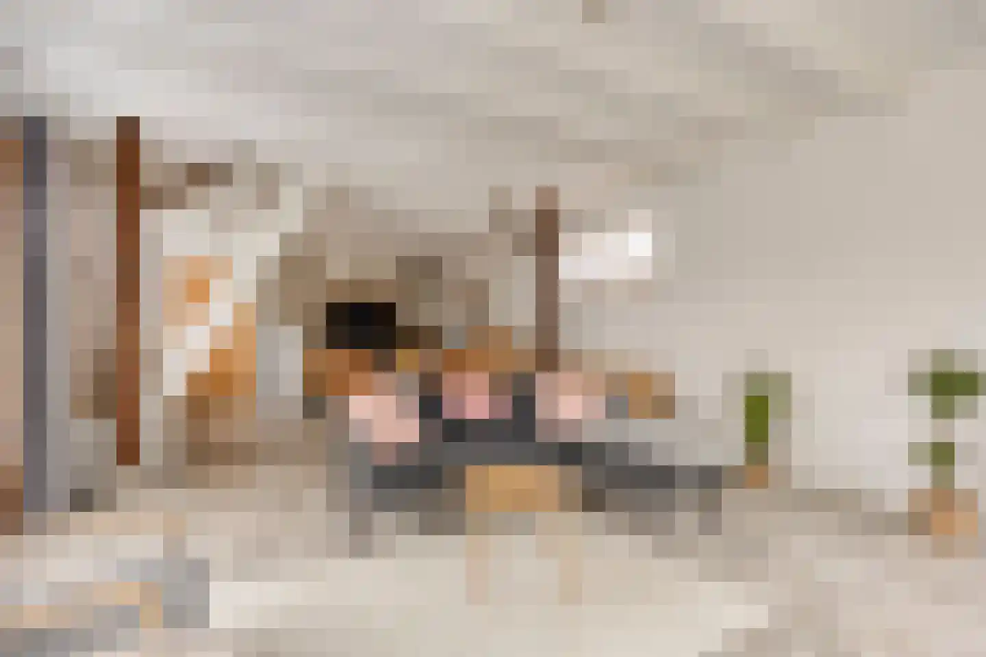 Nanningaweg 26 Oosterwolde thumbnail 4