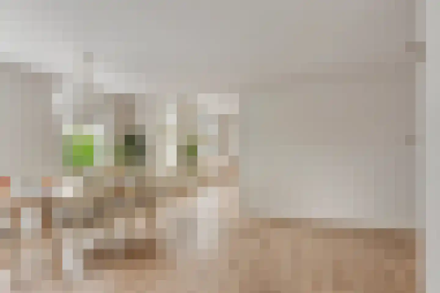 Nanningaweg 26 Oosterwolde thumbnail 8