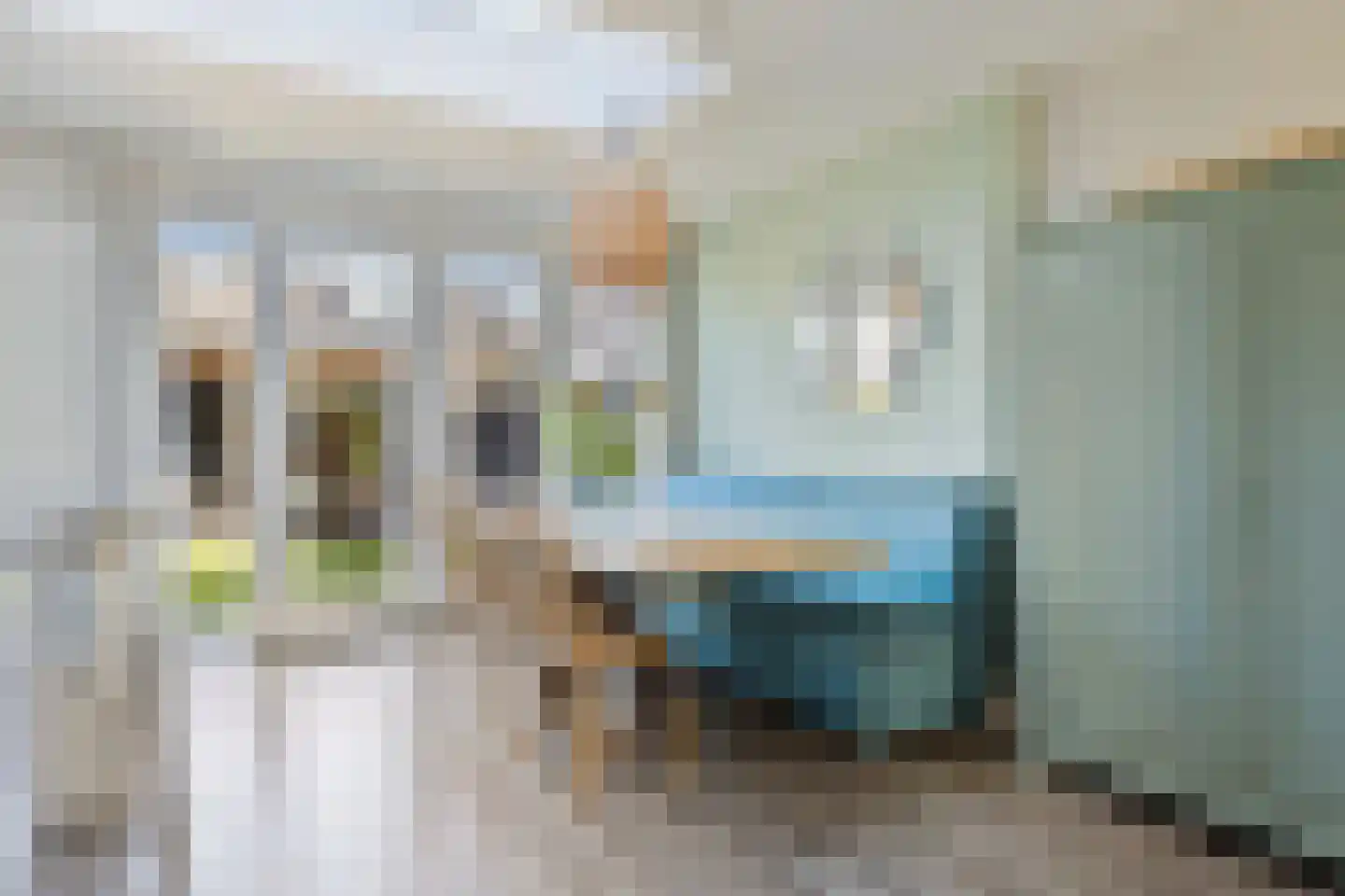 Nansenlaan 17 Castricum thumbnail 7