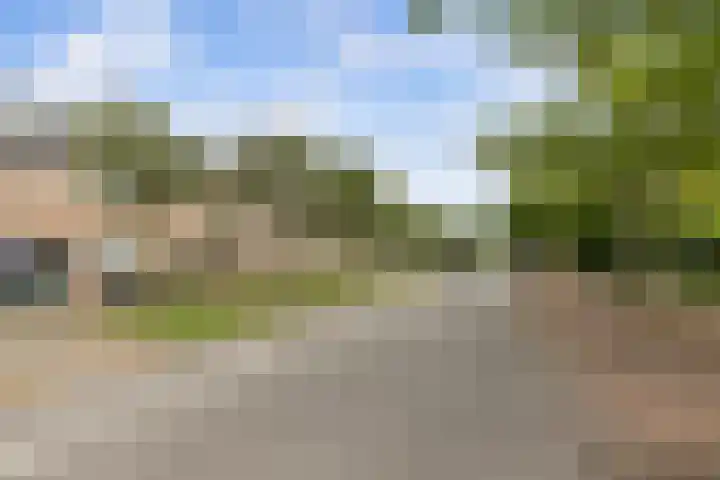 Nansenlaan 43 Castricum thumbnail 31