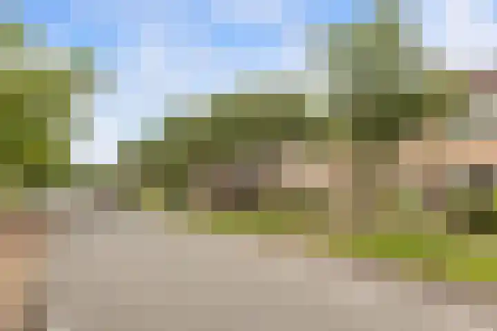 Nansenlaan 43 Castricum thumbnail 32