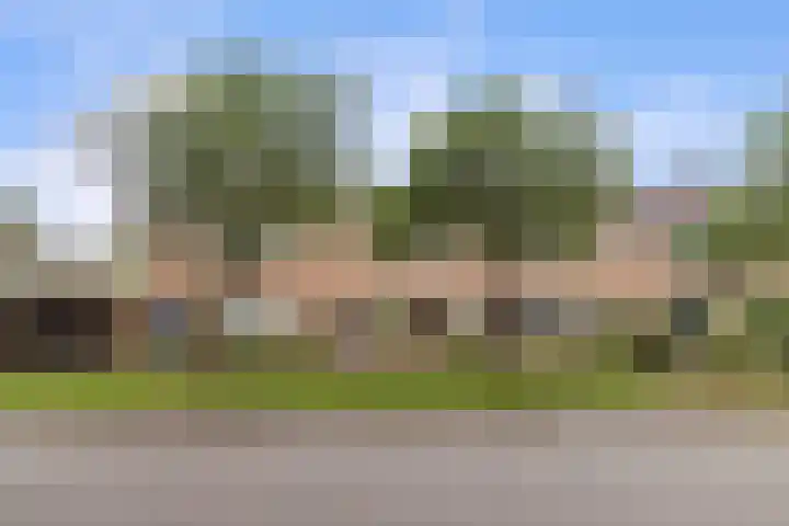 Nansenlaan 43 Castricum thumbnail 33