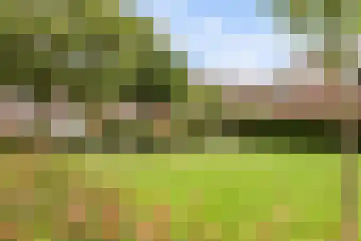 Nansenlaan 43 Castricum thumbnail 36
