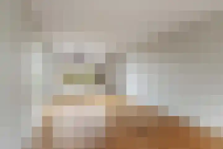 Nansenlaan 43 Castricum thumbnail 4