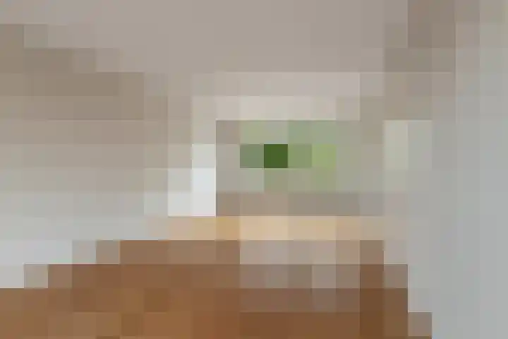 Nansenlaan 43 Castricum thumbnail 6