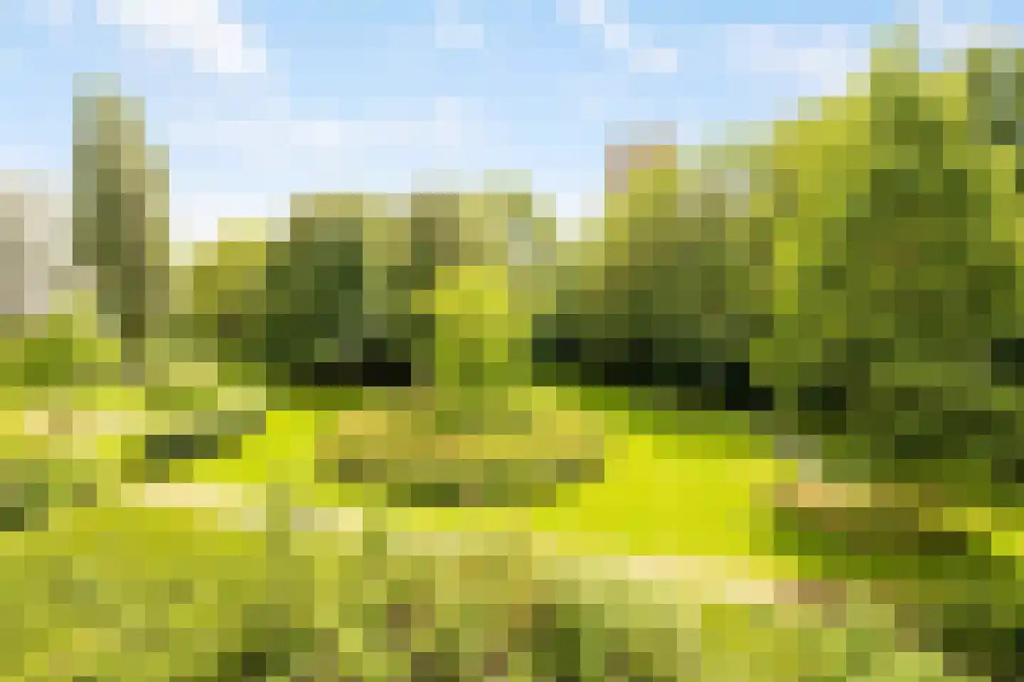 Nansenplaats 13 Rotterdam thumbnail 22