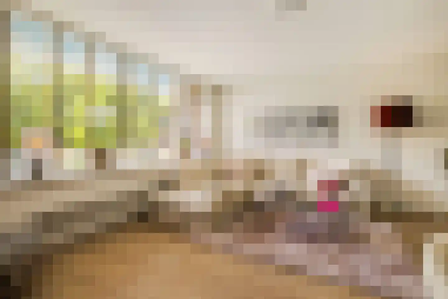 Nansenplaats 13 Rotterdam thumbnail 4
