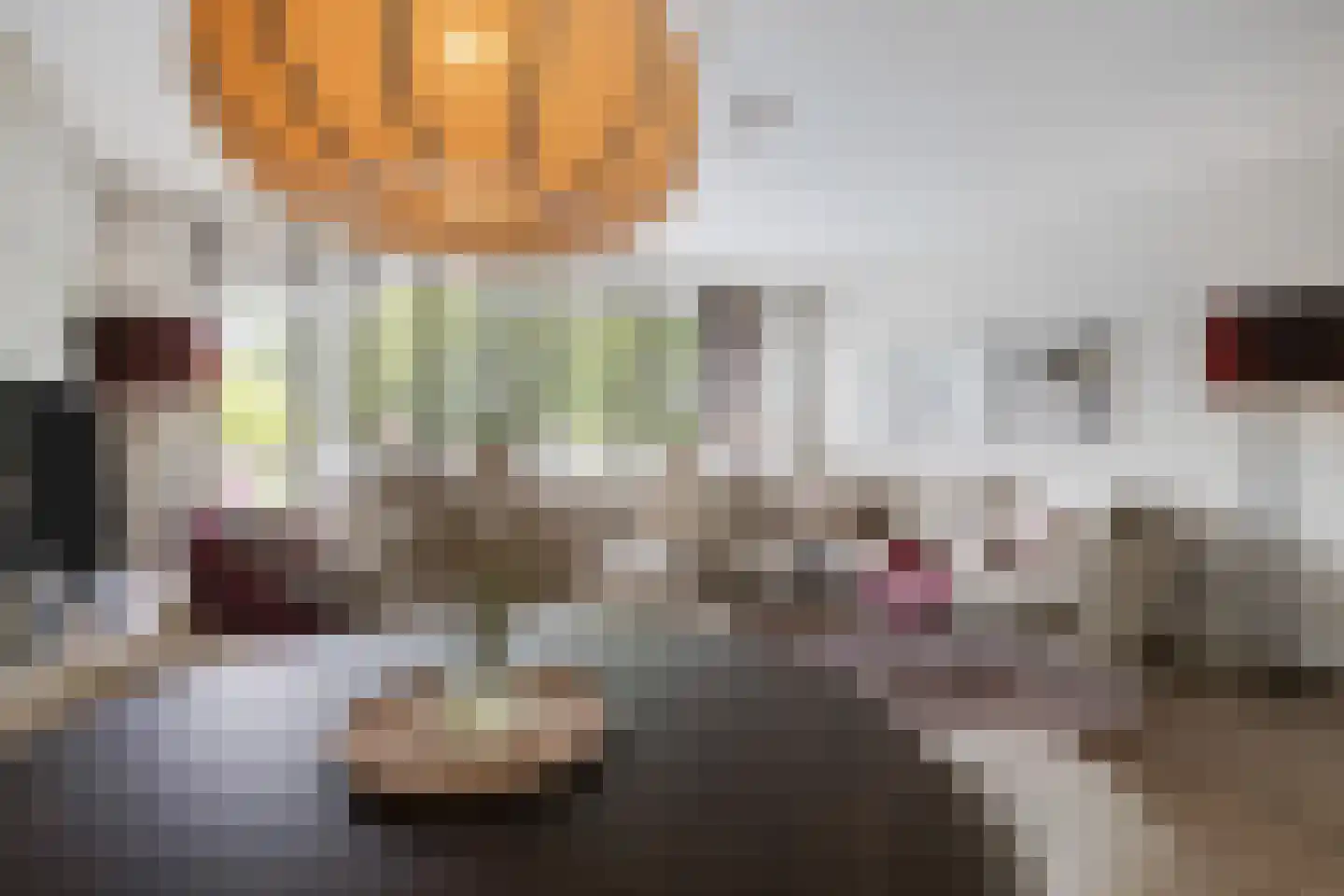 Nansenplaats 13 Rotterdam thumbnail 6