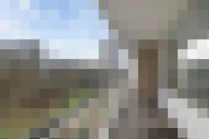 Nansenplaats 171 Rotterdam thumbnail 5