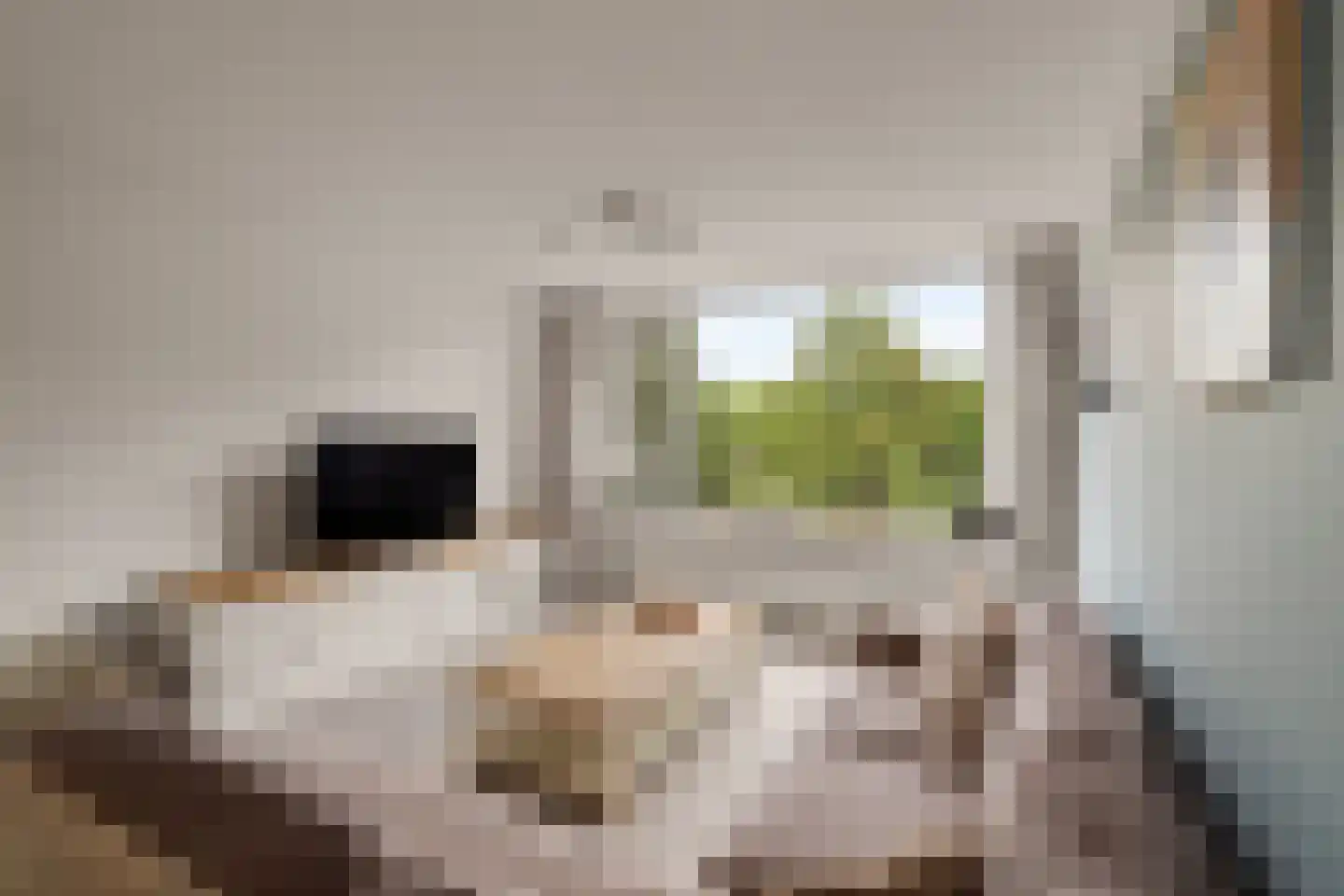 Nansenplaats 225 Rotterdam thumbnail 10