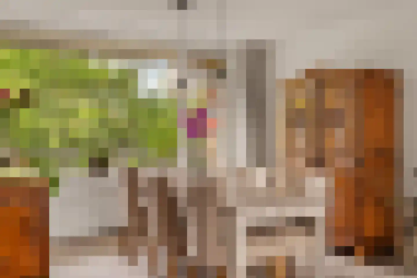 Nansenplaats 225 Rotterdam thumbnail 11