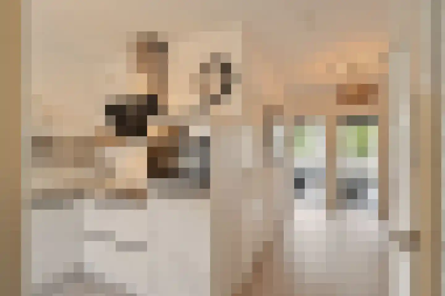 Nansenplaats 225 Rotterdam thumbnail 16
