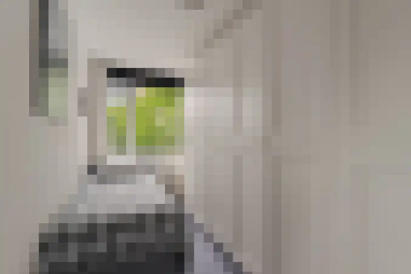 Nansenplaats 225 Rotterdam thumbnail 23