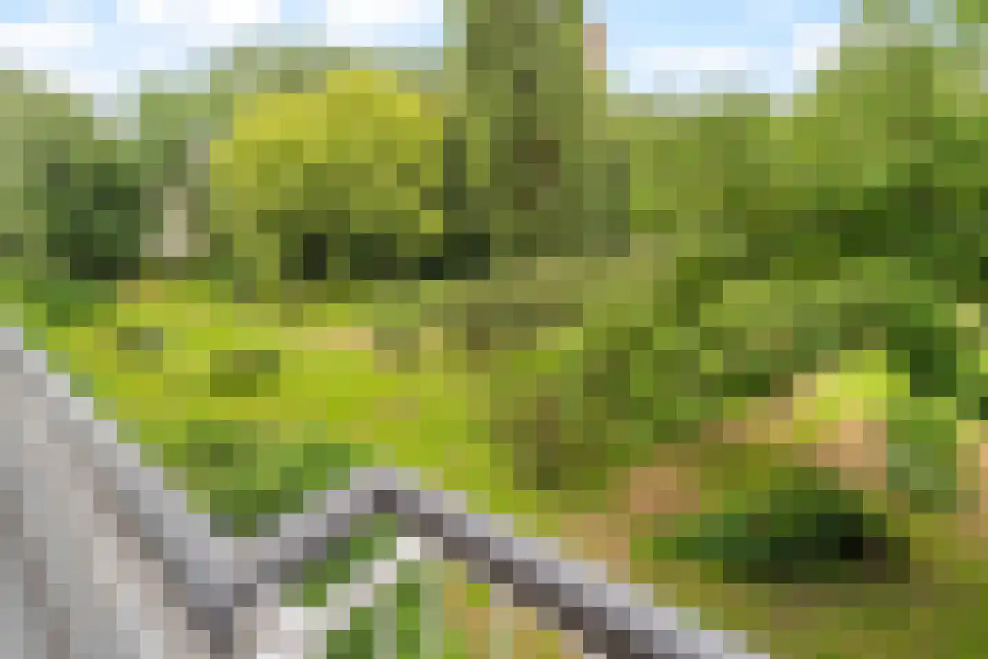 Nansenplaats 225 Rotterdam thumbnail 31