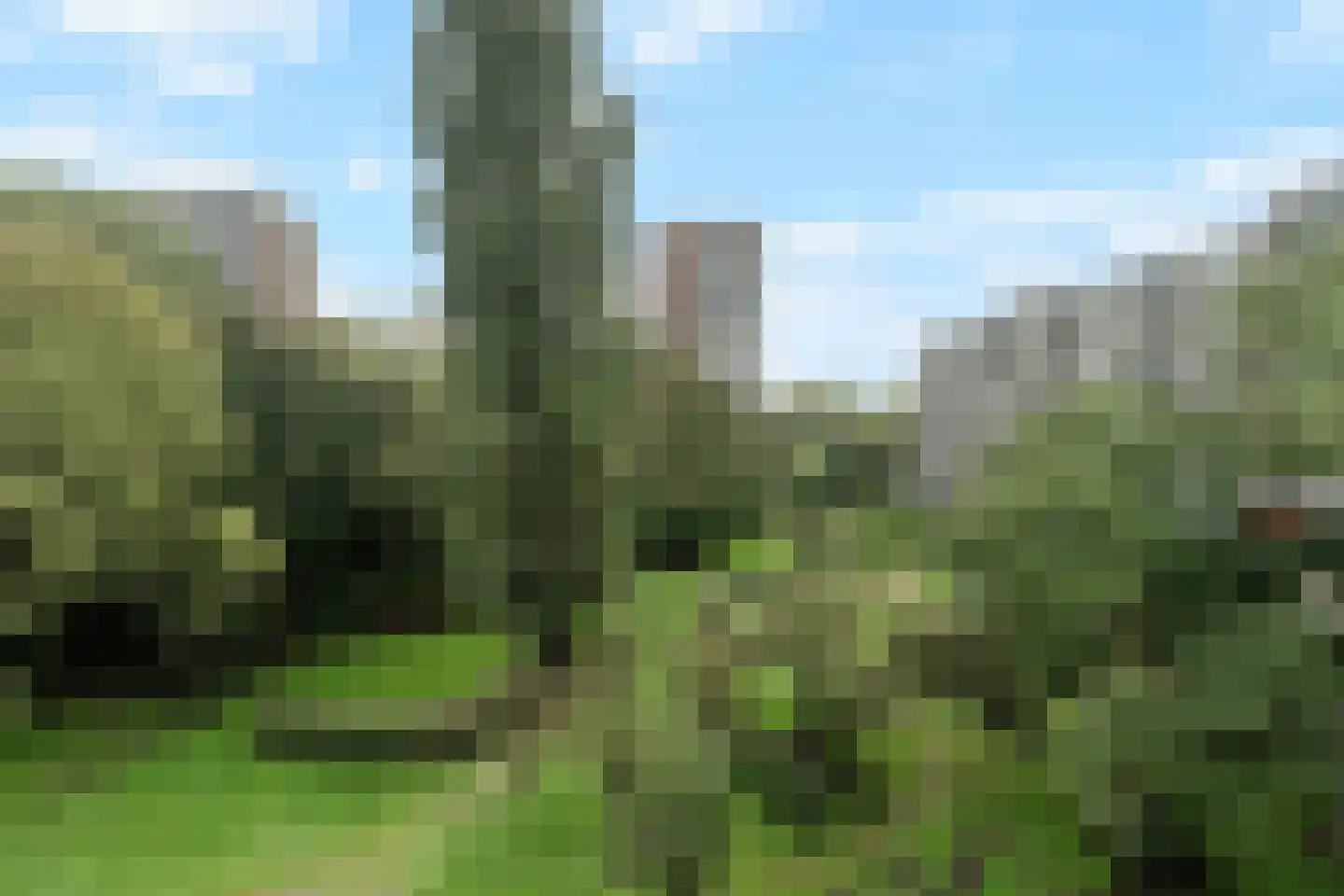 Nansenplaats 237 Rotterdam thumbnail 9