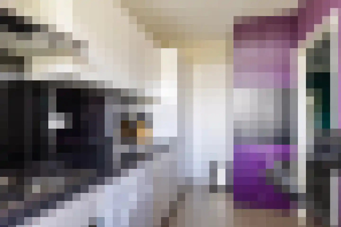 Nansenplaats 241 Rotterdam thumbnail 13