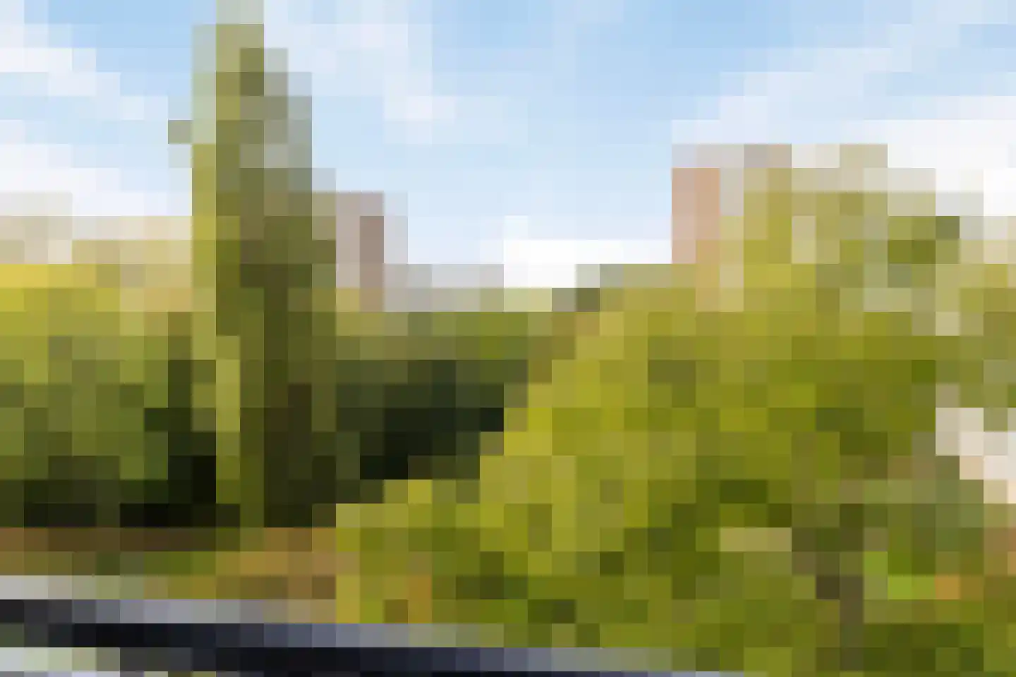 Nansenplaats 241 Rotterdam thumbnail 6