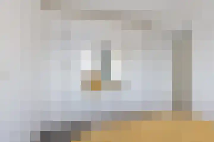 Nansenplaats 253 Rotterdam thumbnail 14