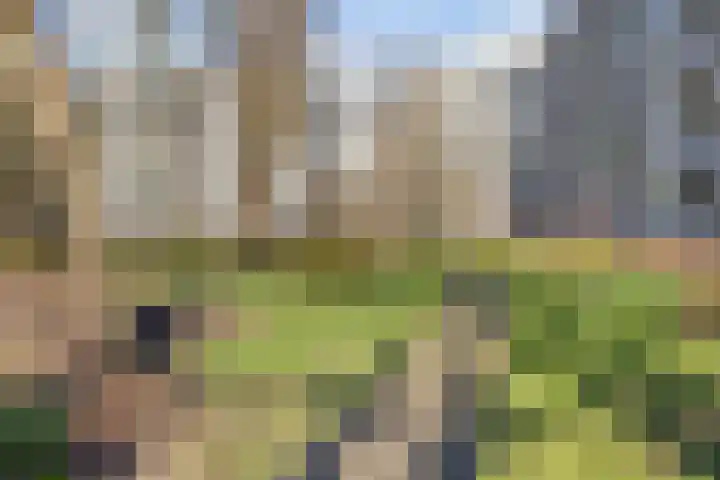 Nansenplaats 253 Rotterdam thumbnail 17
