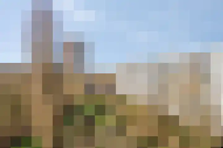 Nansenplaats 253 Rotterdam thumbnail 4