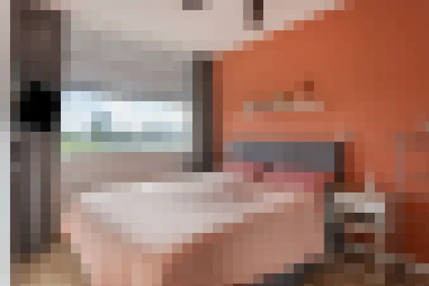 Nansenplaats 261 Rotterdam thumbnail 17