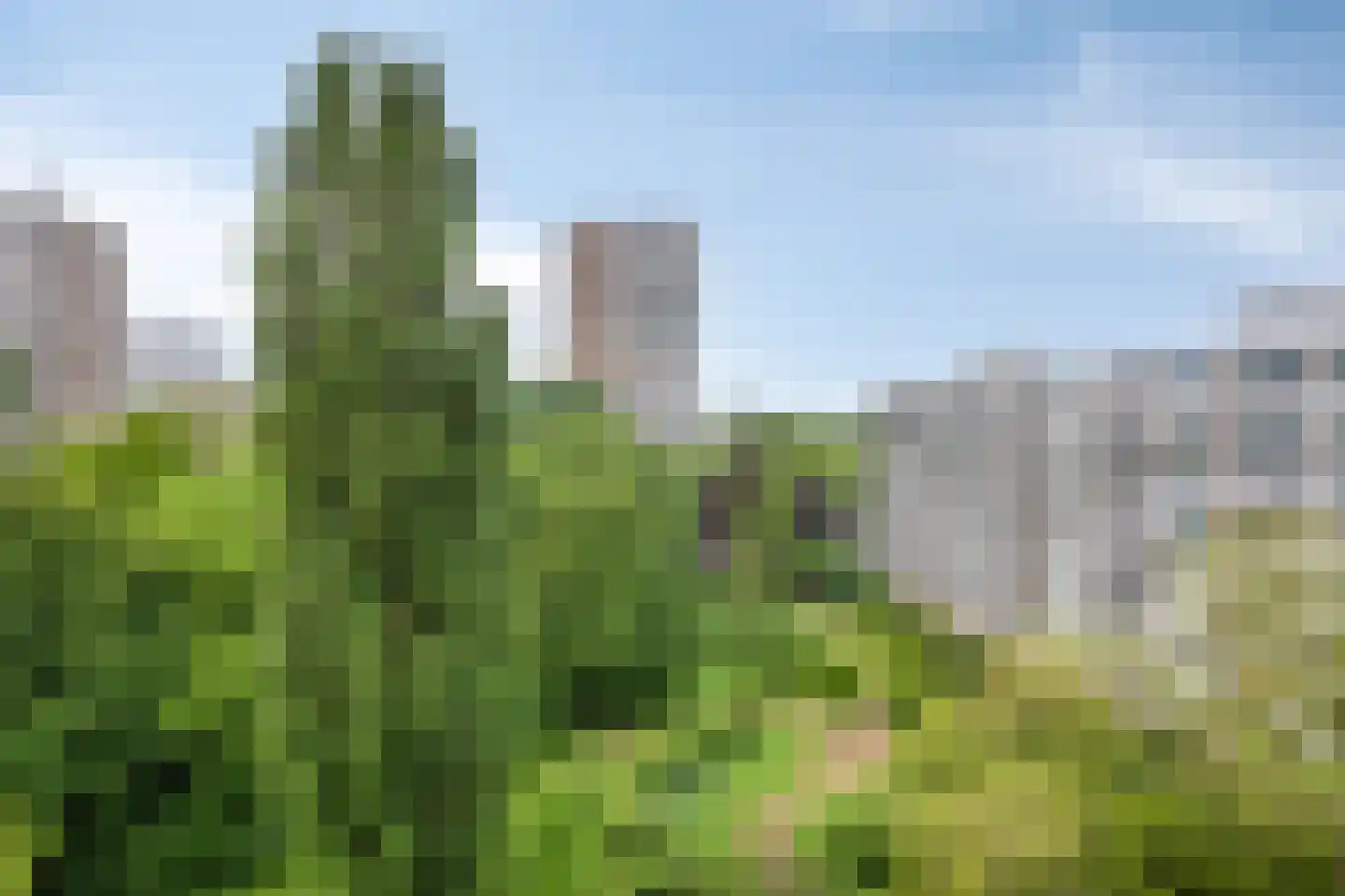 Nansenplaats 261 Rotterdam thumbnail 29