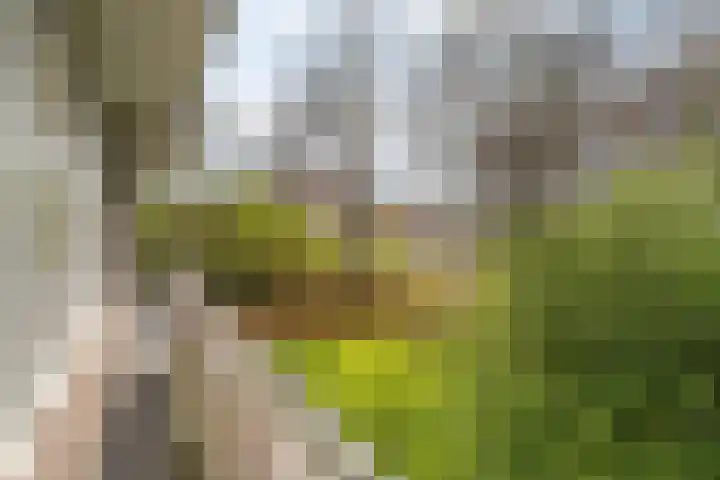 Nansenplaats 279 Rotterdam thumbnail 22