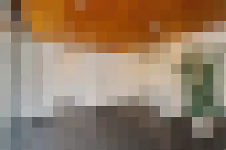 Nansenplaats 279 Rotterdam thumbnail 24