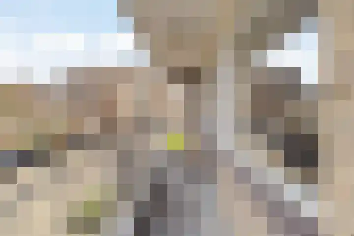 Nansenplaats 279 Rotterdam thumbnail 25