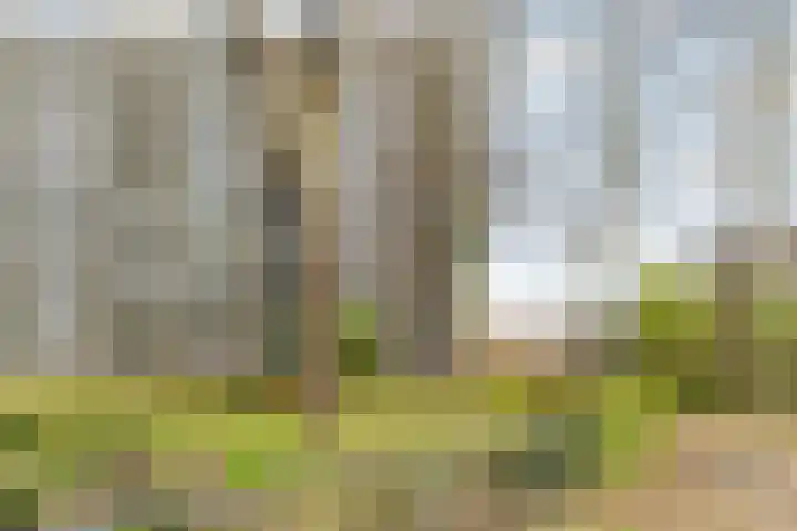 Nansenplaats 279 Rotterdam thumbnail 29