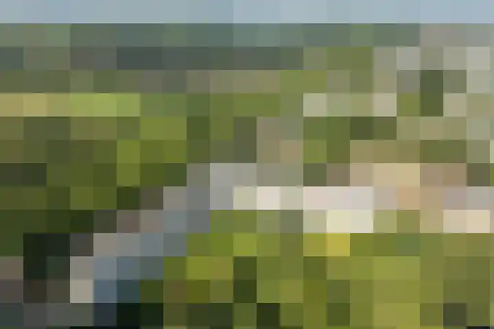 Nansenplaats 279 Rotterdam thumbnail 30