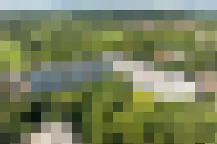 Nansenplaats 279 Rotterdam thumbnail 31