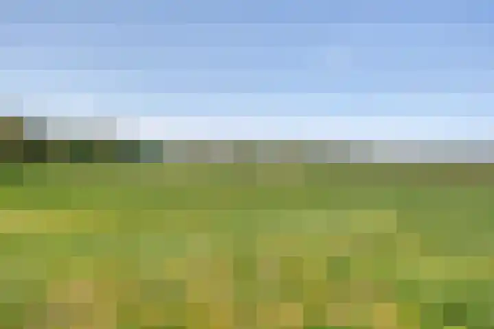 Nansenplaats 279 Rotterdam thumbnail 34