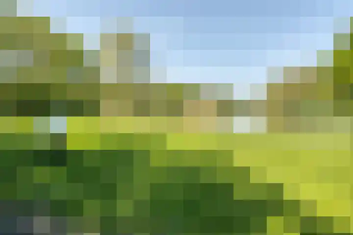 Nansenplaats 279 Rotterdam thumbnail 35