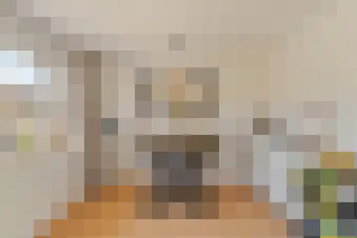 Nansenplaats 279 Rotterdam thumbnail 7