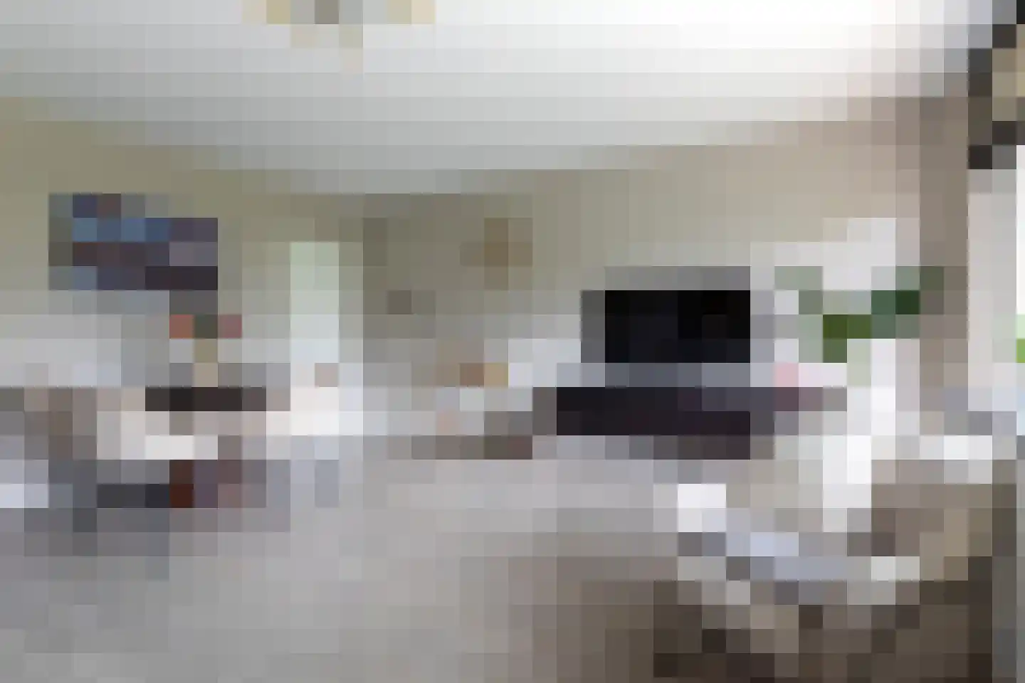 Nansenplaats 37 Rotterdam thumbnail 20