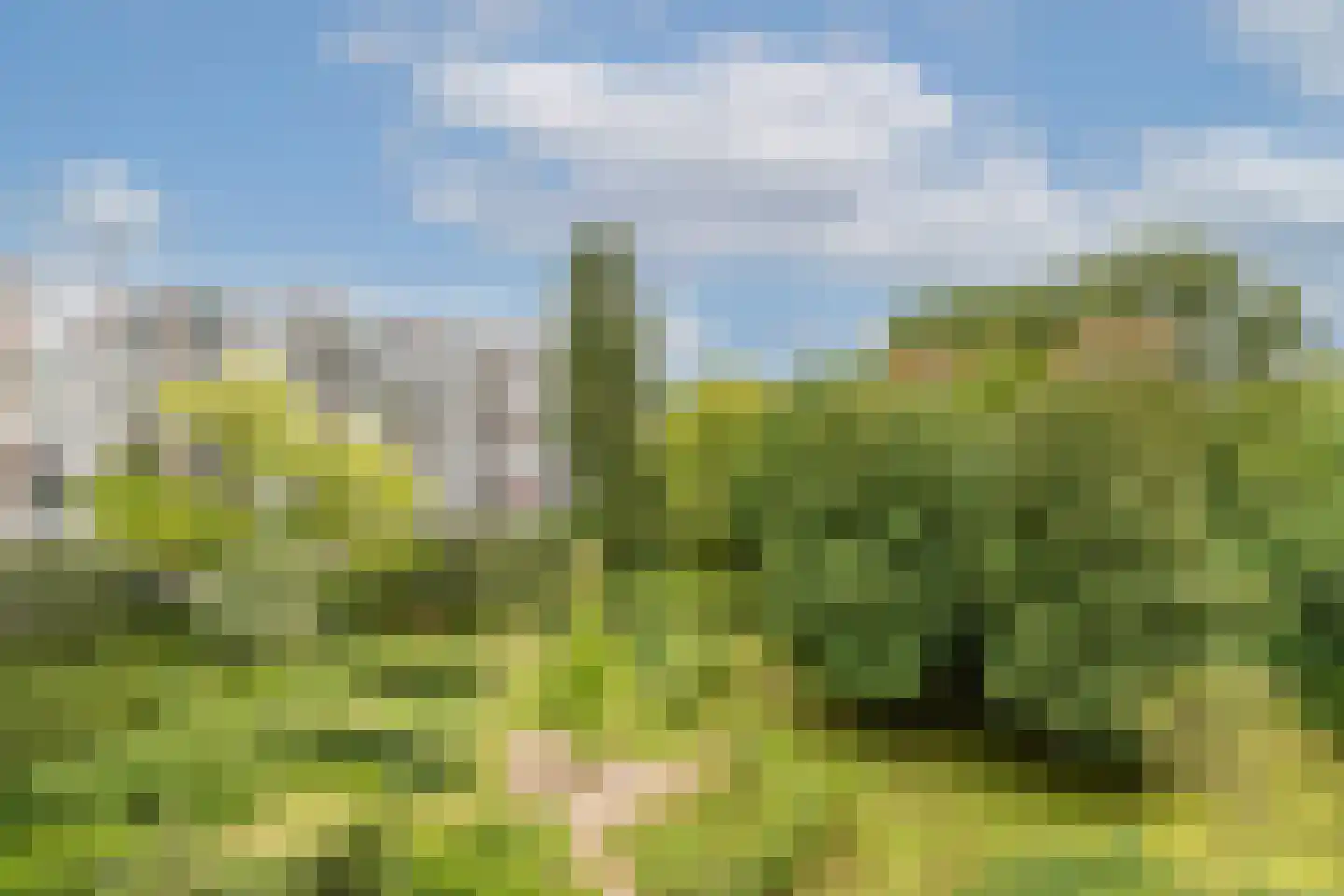 Nansenplaats 37 Rotterdam thumbnail 36