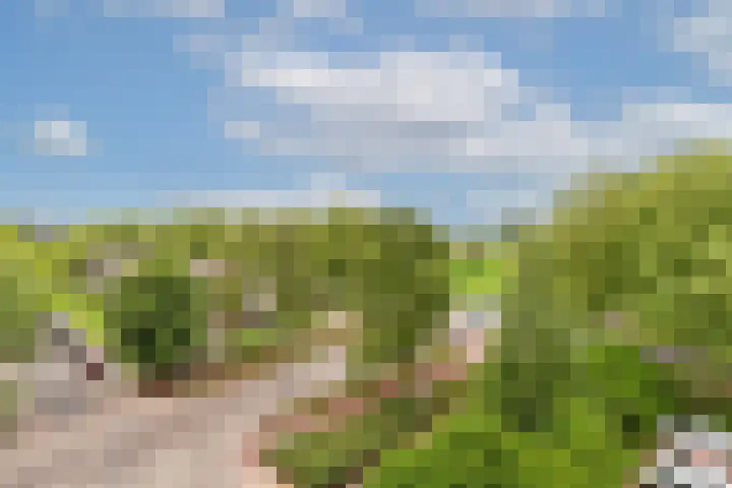 Nansenplaats 37 Rotterdam thumbnail 41
