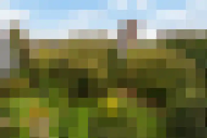 Nansenplaats 63 Rotterdam thumbnail 12