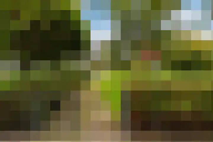 Nansenplaats 63 Rotterdam thumbnail 13