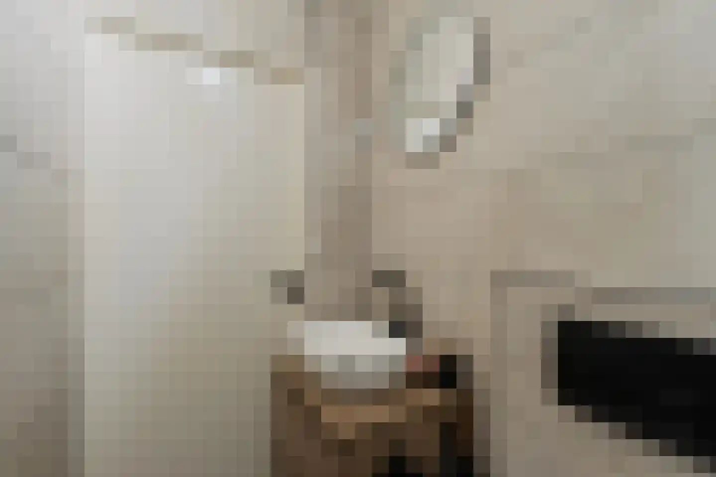 Nansenplaats 69 Rotterdam thumbnail 14