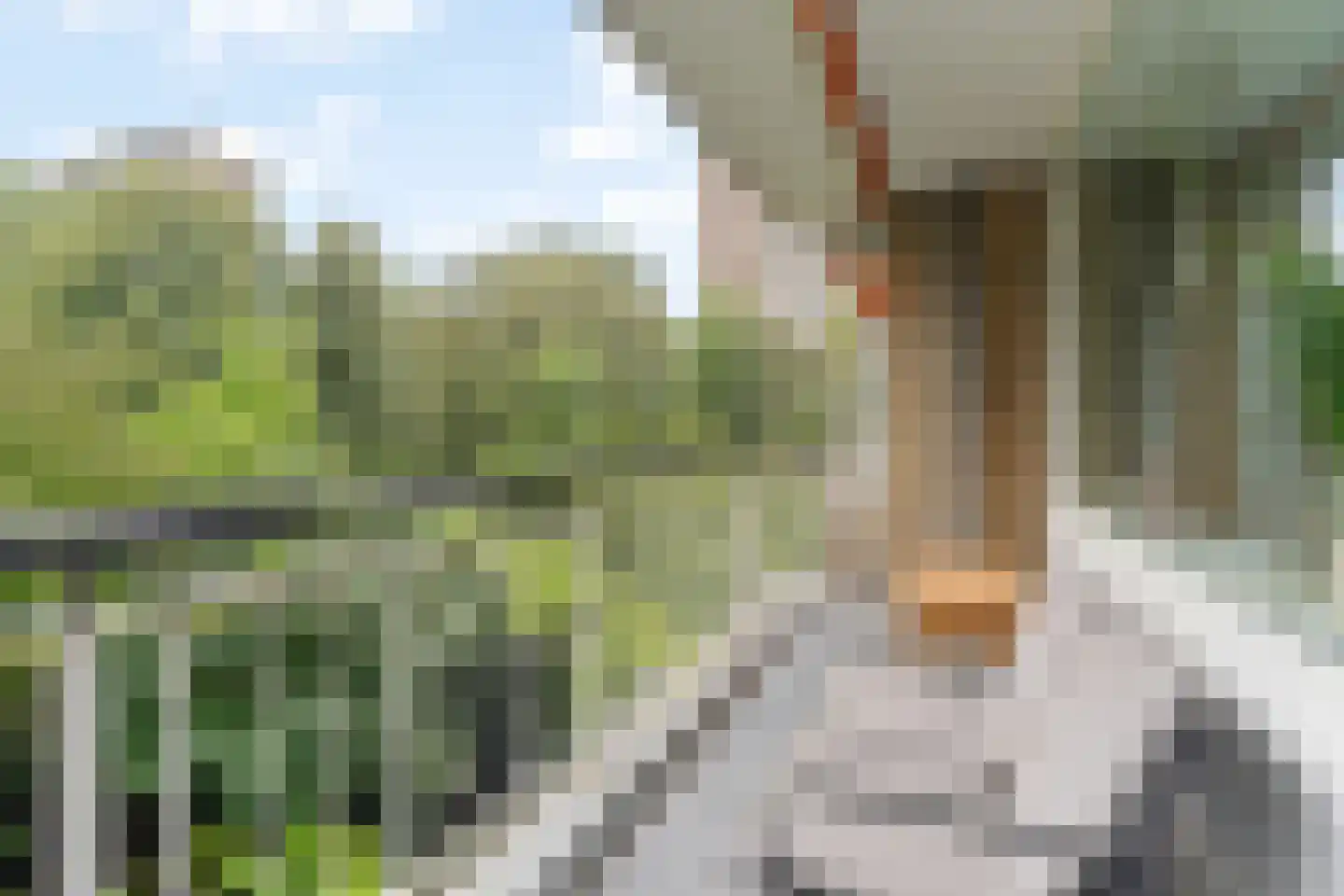 Nansenplaats 69 Rotterdam thumbnail 15
