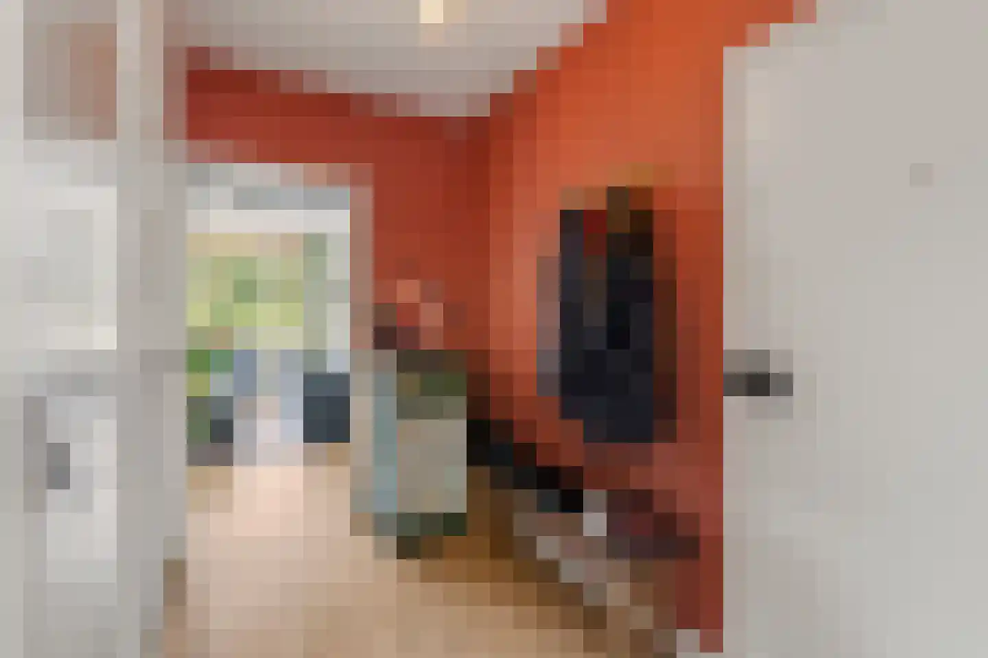 Nansenplaats 69 Rotterdam thumbnail 8