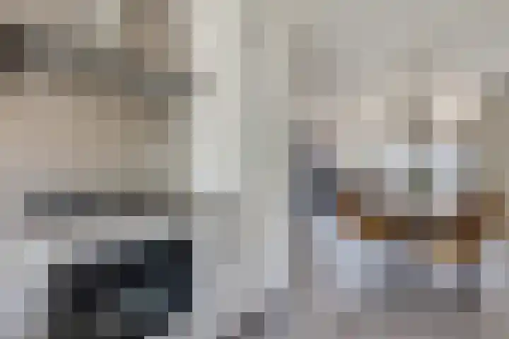Nansenstate 11 Ede thumbnail 10
