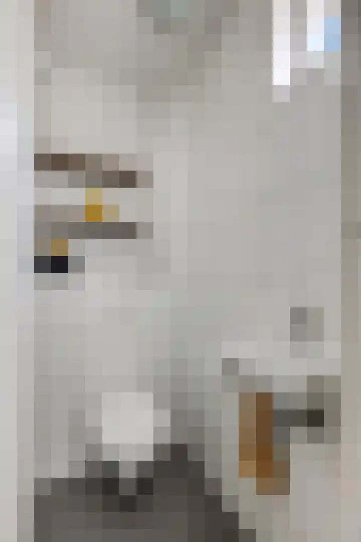 Nansenstate 11 Ede thumbnail 11