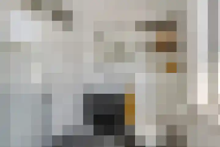 Nansenstate 11 Ede thumbnail 20