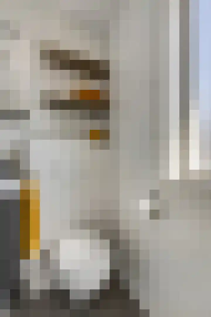 Nansenstate 11 Ede thumbnail 21
