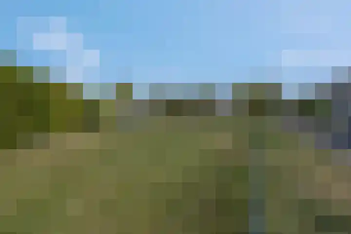 Nansenstate 11 Ede thumbnail 39